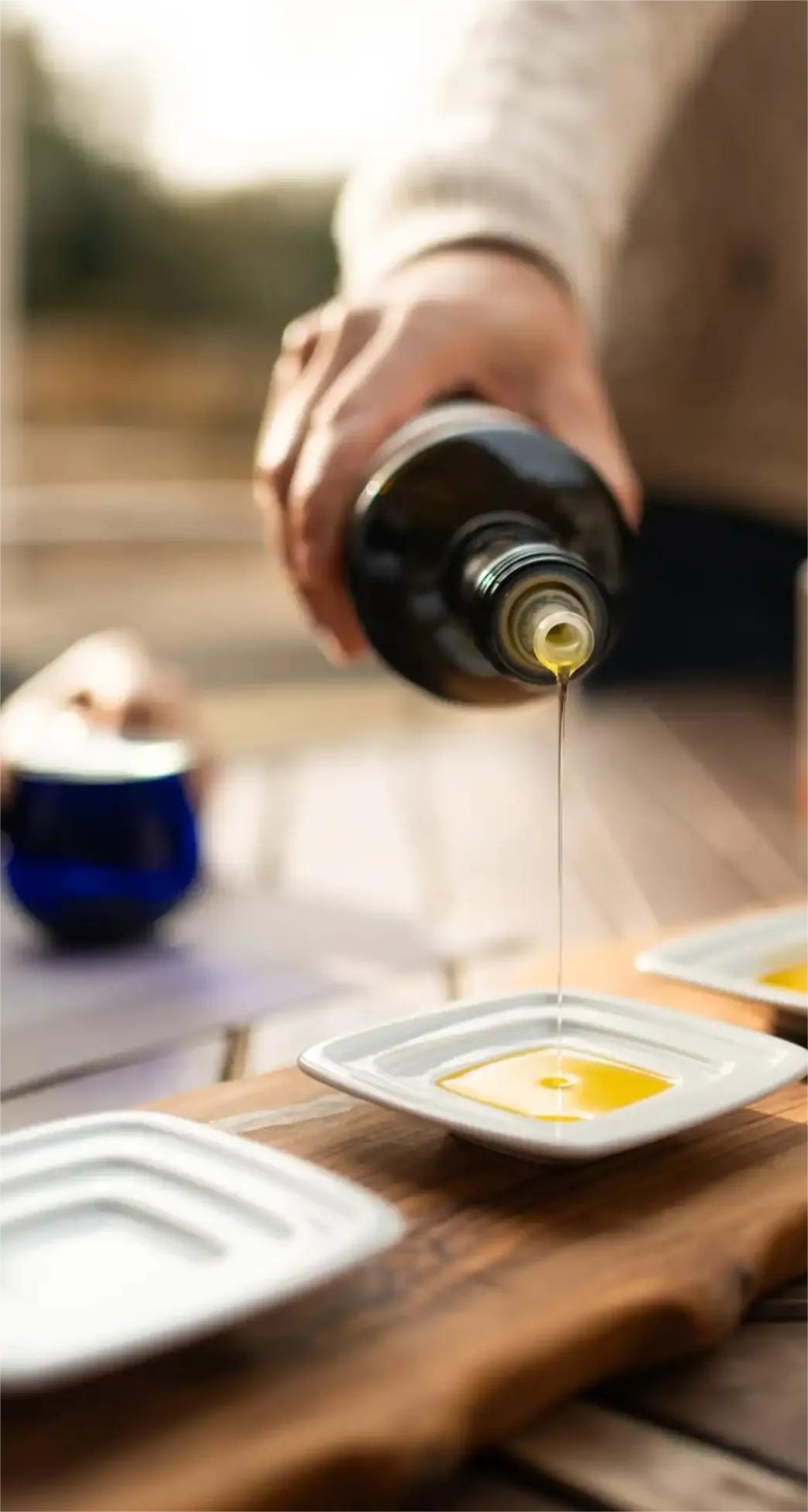 Professional olive oil tasting session